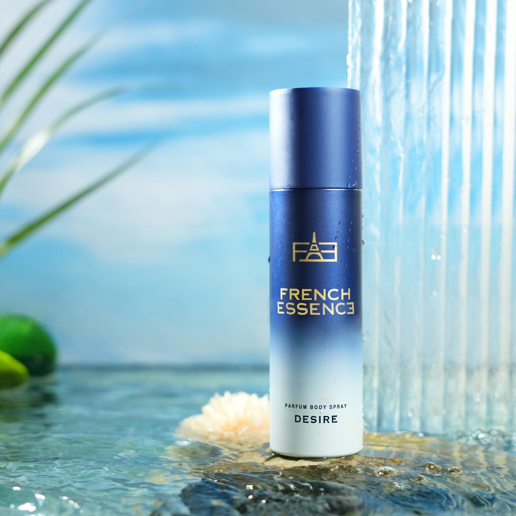 Mist Antiperspirant Perfume Deodorant Toilette Spray Vs Perfume